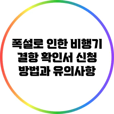 폭설로 인한 비행기 결항 확인서 신청 방법과 유의사항
