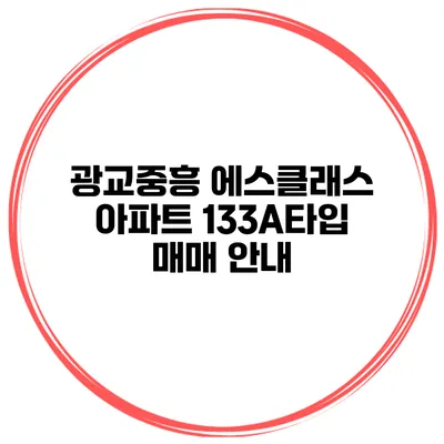 광교중흥 에스클래스 아파트 133A타입 매매 안내
