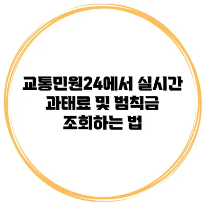 교통민원24에서 실시간 과태료 및 범칙금 조회하는 법
