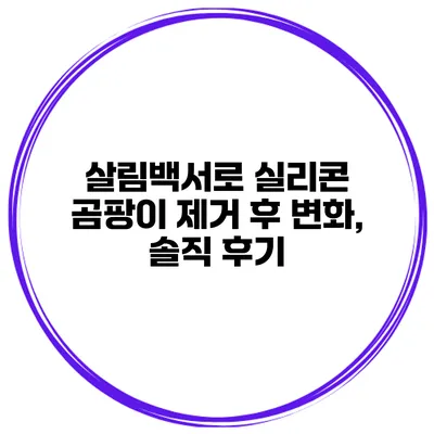 살림백서로 실리콘 곰팡이 제거 후 변화, 솔직 후기