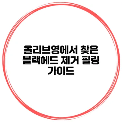올리브영에서 찾은 블랙헤드 제거 필링 가이드