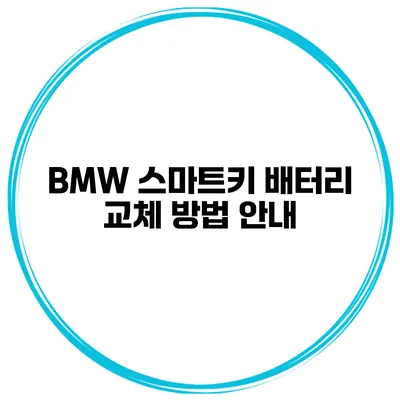 BMW 스마트키 배터리 교체 방법 안내