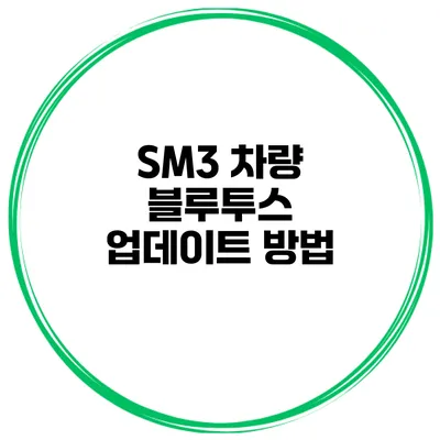 SM3 차량 블루투스 업데이트 방법