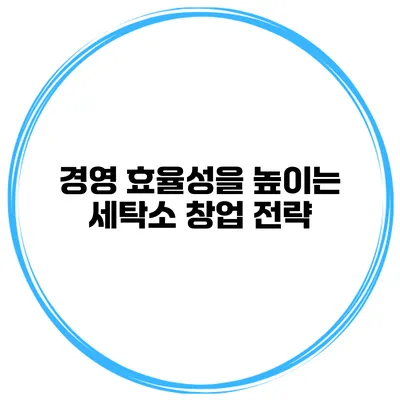 경영 효율성을 높이는 세탁소 창업 전략