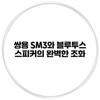 쌍용 SM3와 블루투스 스피커의 완벽한 조화