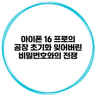 아이폰 16 프로의 공장 초기화 잊어버린 비밀번호와의 전쟁