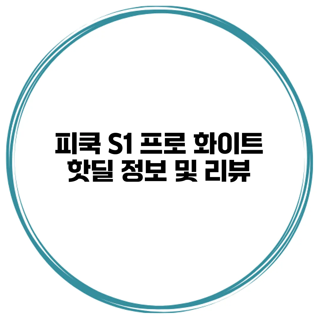 피쿡 S1 프로 화이트 핫딜 정보 및 리뷰