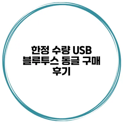 한정 수량 USB 블루투스 동글 구매 후기
